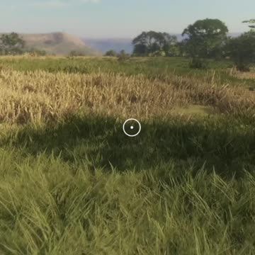 Ya, I Don't Care! Hunter Call of the Wild