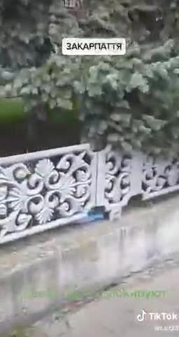 Ukraine War - Enraged women staged a pogrom