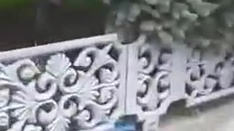 Ukraine War - Enraged women staged a pogrom