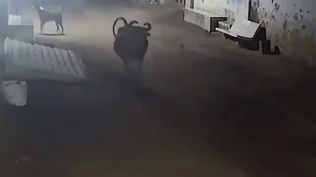 What happend