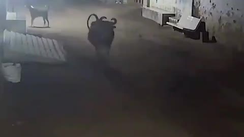 What happend