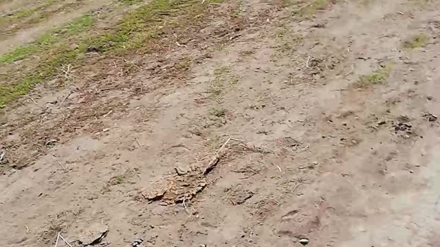 Покатушки на Иж планета 5