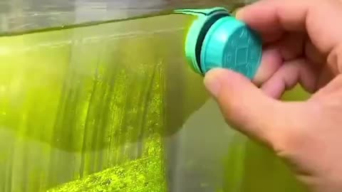 🔥 ► Pet Fish Tank Brush Aquarium💯 Best Gadget 🚀