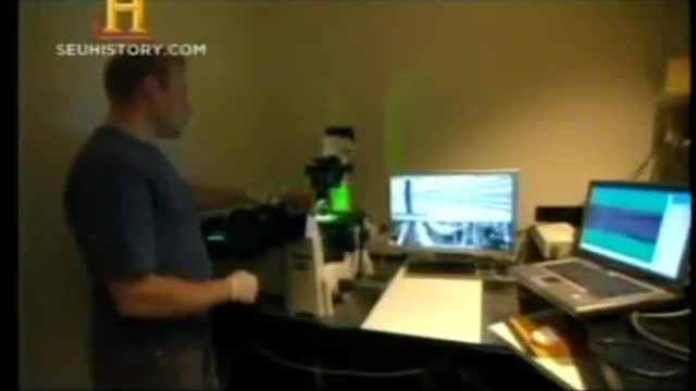 Documentary - HOW LIFE BEGAN
