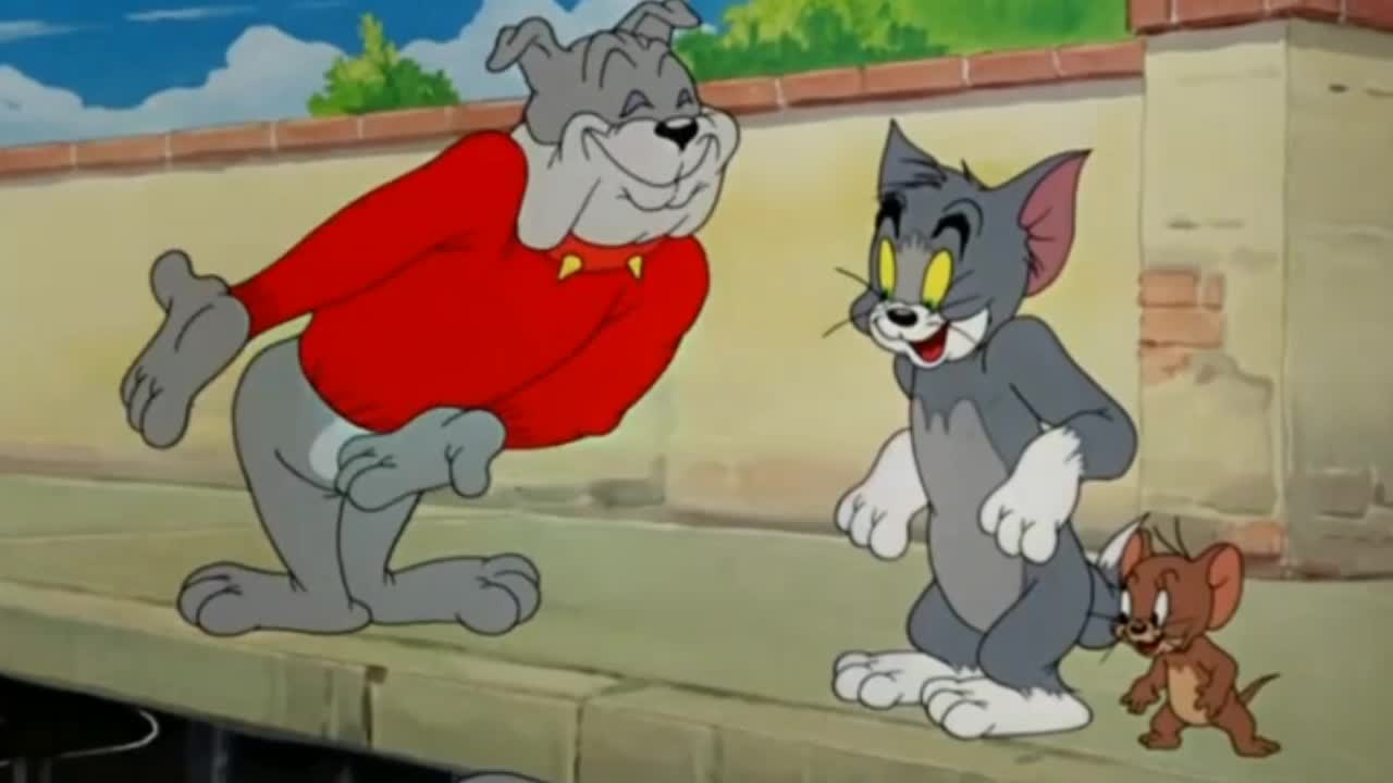 Tom and Jerry funny moment, Tom&Jerry Cartoon