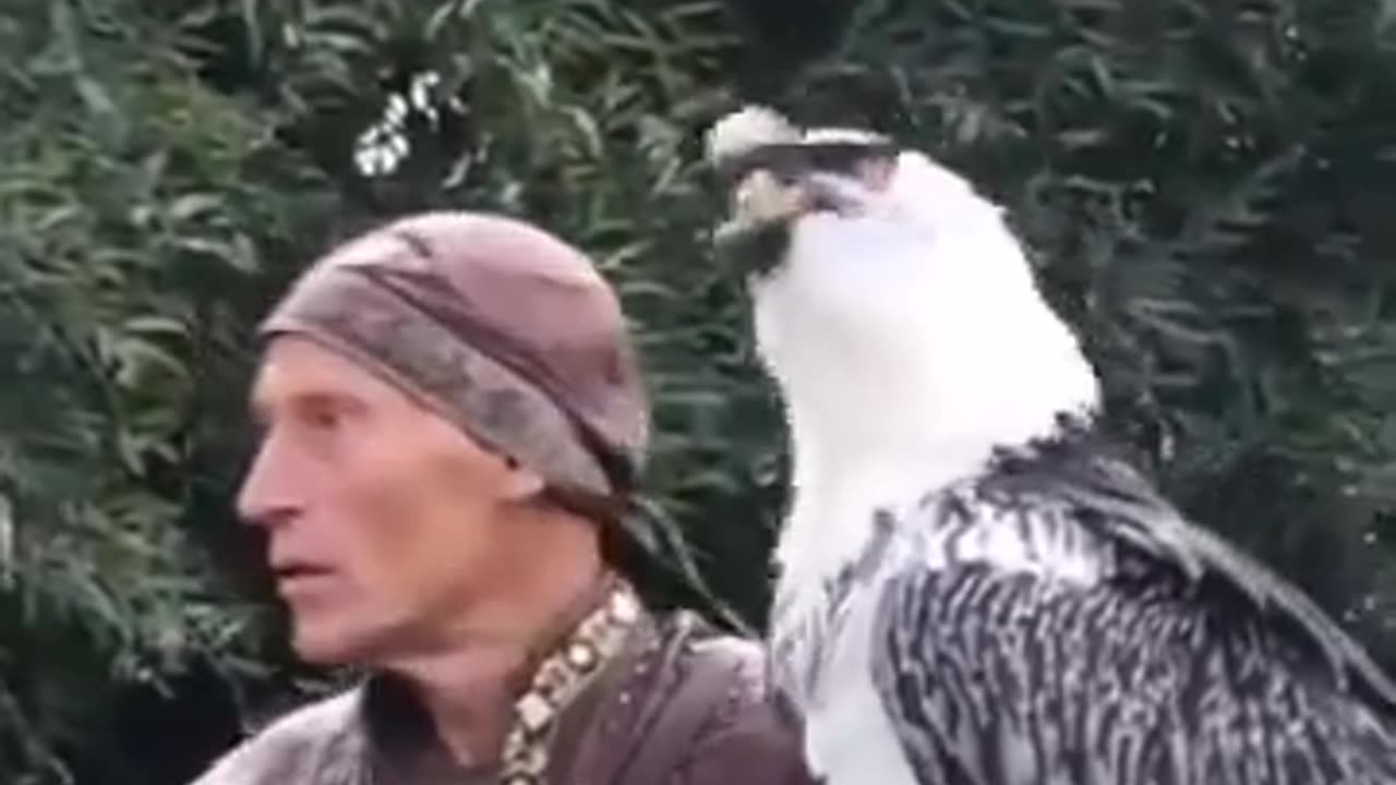 The bearded vulture is the only known animal whose diet is almost exclusively bone