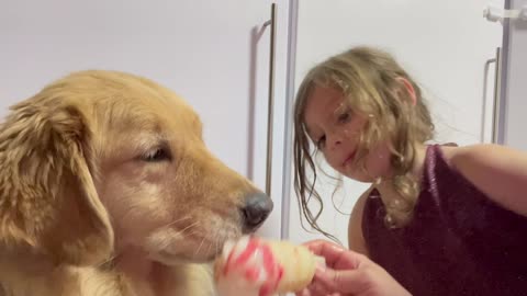 Dog and Baby Girl’s Sweet Ice Cream Moment!