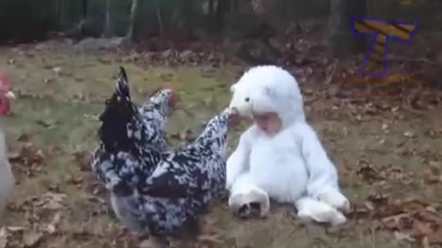 Laugh all day with this hilarious cat moment