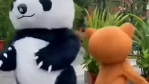 Funny Panda ll Panda Video l Funny panda video ll cute Panda #shorts #panda #funny #tiktok #animals