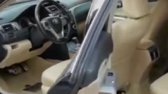 Most Funniest animal video 2021