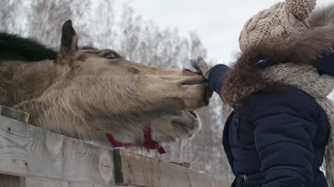 horse love