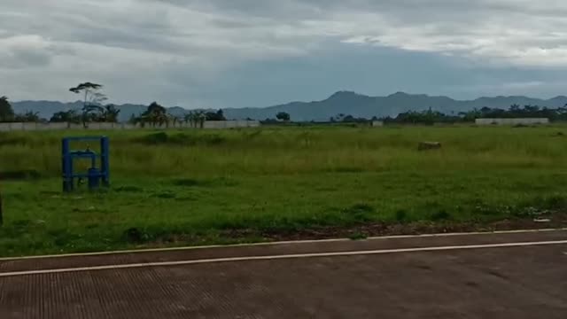 This is MY COMPANY Situation