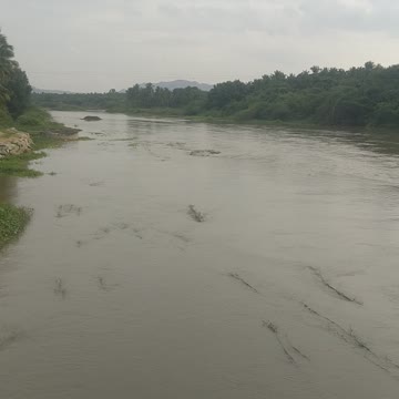 River in village