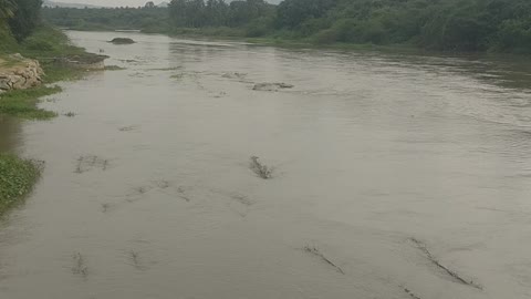 River in village