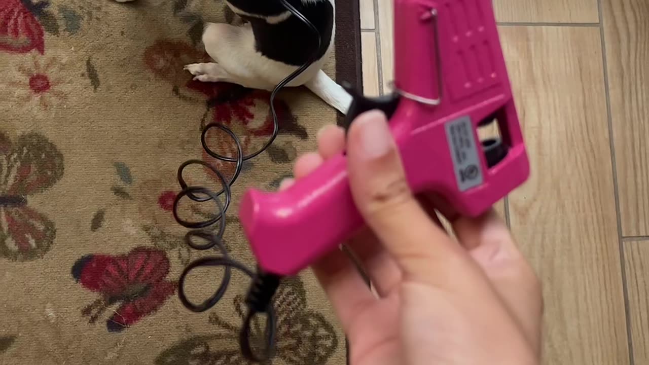 When You Can't Find the Leash and Need to Improvise