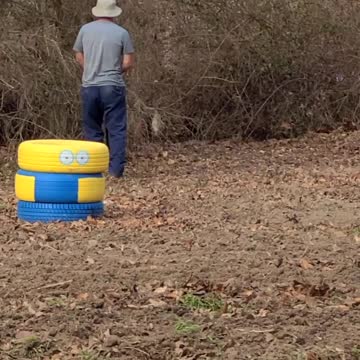 Chasing Chickens Off The Property