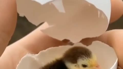 Wow So Cute.😍😍