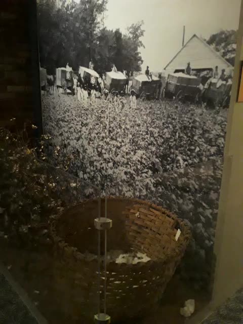 The South didn't do a Cotton Picking thing!
