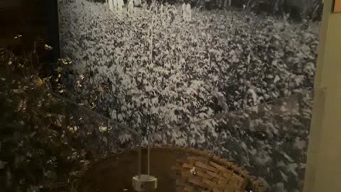 The South didn't do a Cotton Picking thing!