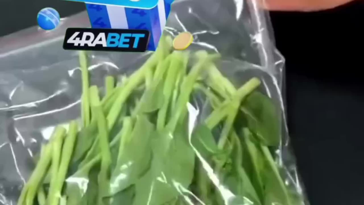 Funny videos
