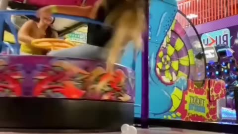 The end 😂😂😂 #viral #shorts #fails #funny