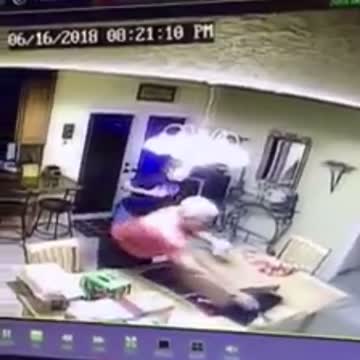 Epic fail: Security footage captures blue crab fiasco in kitchen