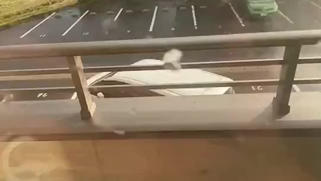 Small Vortex Flips A Car In Japan