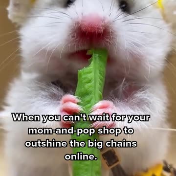 Transform Your Local Business with RevuRise.com Growth Hacks