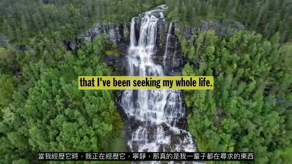 大胡子醫生的珍言