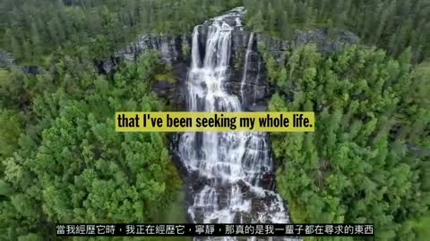 大胡子醫生的珍言