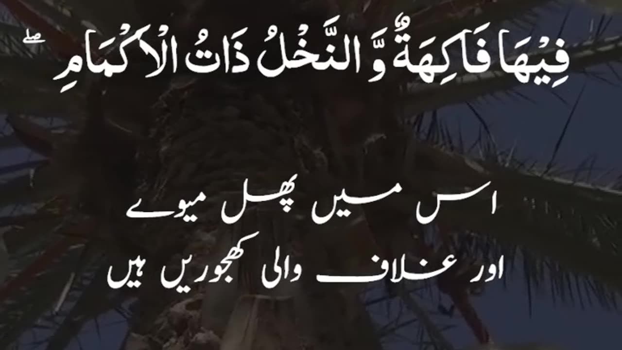 BEAUTIFUL QURAN STATUS ||SURH REHMAN || QURAN RECITATION||