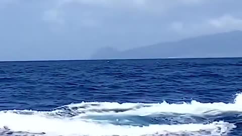 Encountered a whale splashing in the open sea