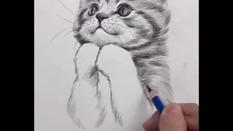 AMAZIN PENCIL ART