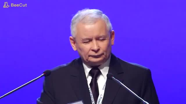 PiS sprzedał polską energetykę