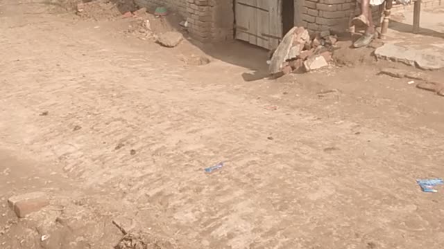 My village 2002