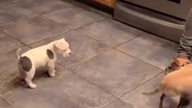 Watching this video and funny