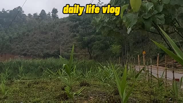 Rainy day is so bad | daily life vlog