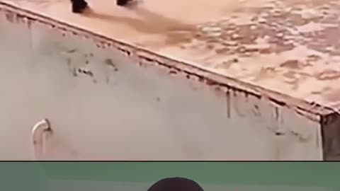 OMG