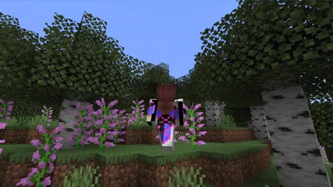 Minecraft1.17.1_Modded 1st outting_8
