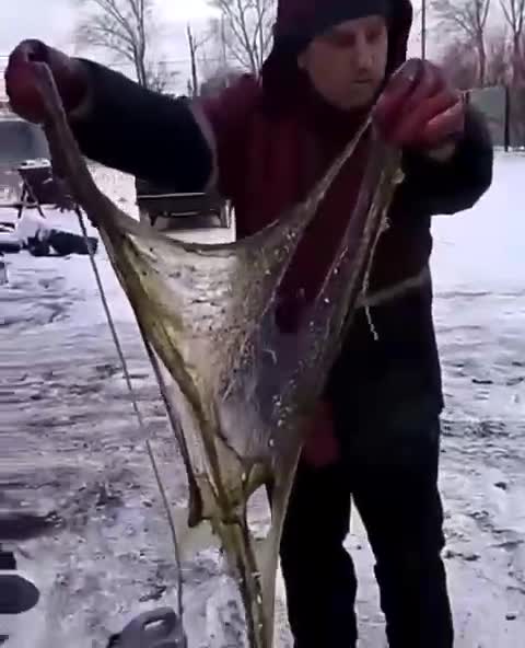 What kind of oil is this