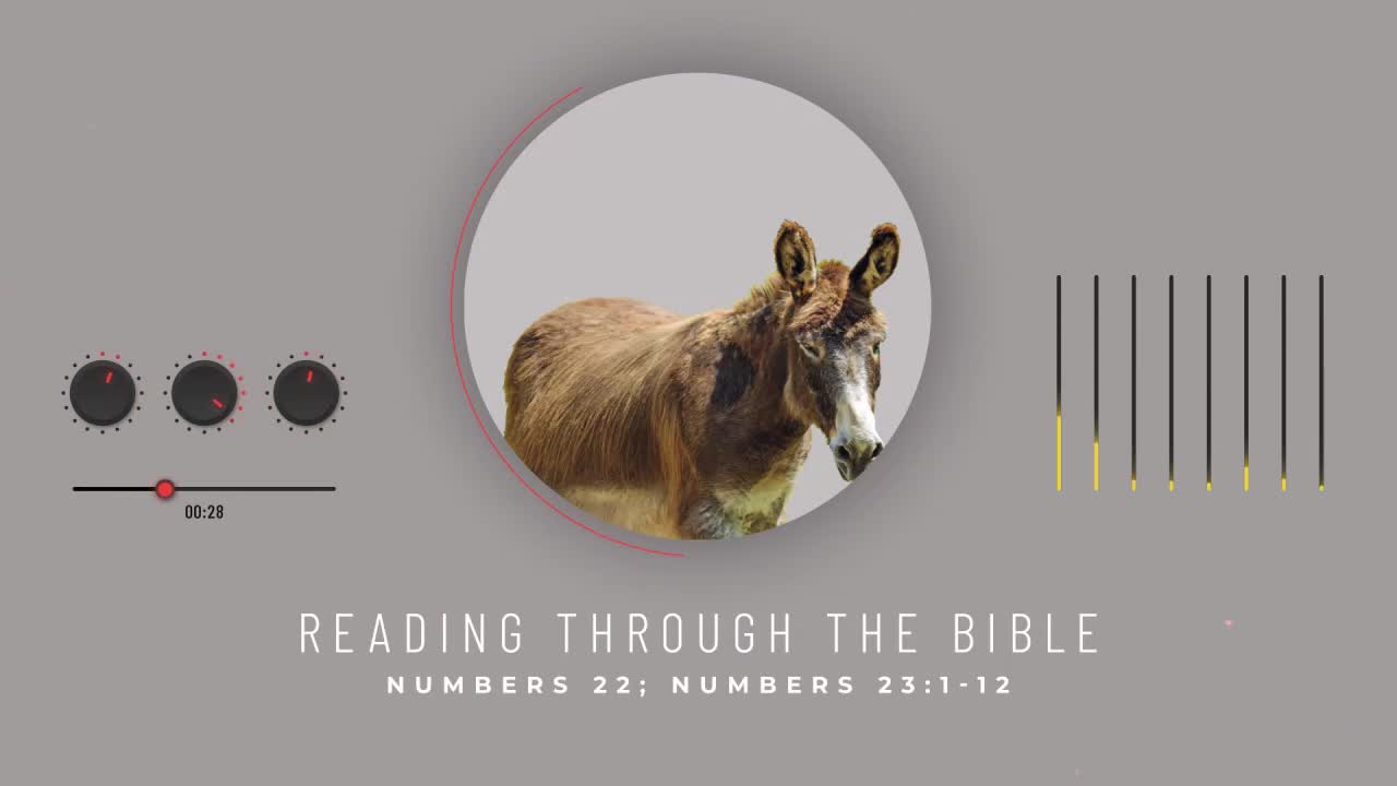 Reading Through the Bible - "Balaam's Donkey"