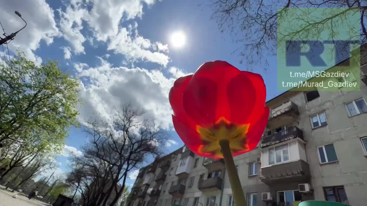 RT: Peaceful life returns to Mariupol.