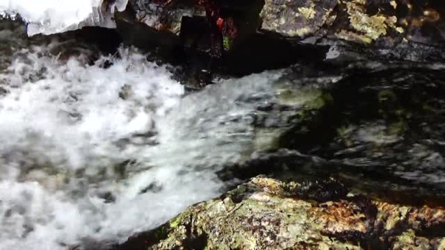 Steady Stream