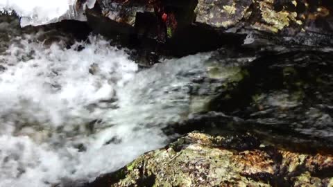 Steady Stream