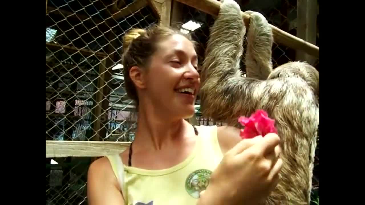A selection of positive and touching moments to raise a good mood