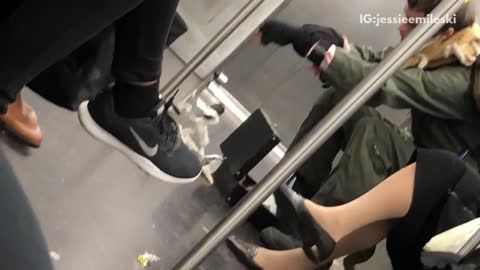 Man playing with white and black puppet on train