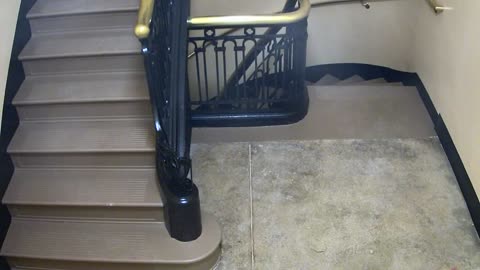 5189CHOB04Stair3_2021-01-06_05h00min01s927ms.mp4