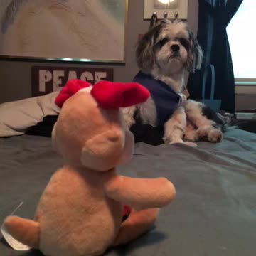 What You Looking At?