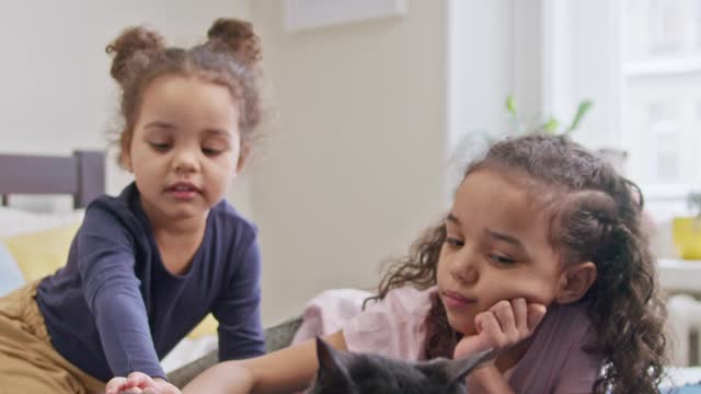 kids petting their cat on the_bed