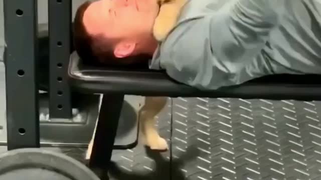 Puppy helping with workout